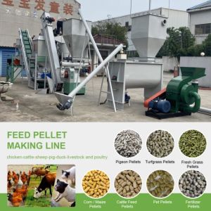 Consistent and Precise Pelletizing with Pellet Feed Production Line Capacity 1