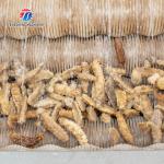 380KG Stainless steel wool roller peeling cleaning machine potato automatic