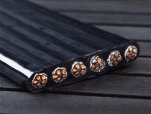China Flat Flexible Traveling Cable for Crane or Conveyor YFFB-PUR 30*1.5 PUR Black Jacket, weather resistance factory