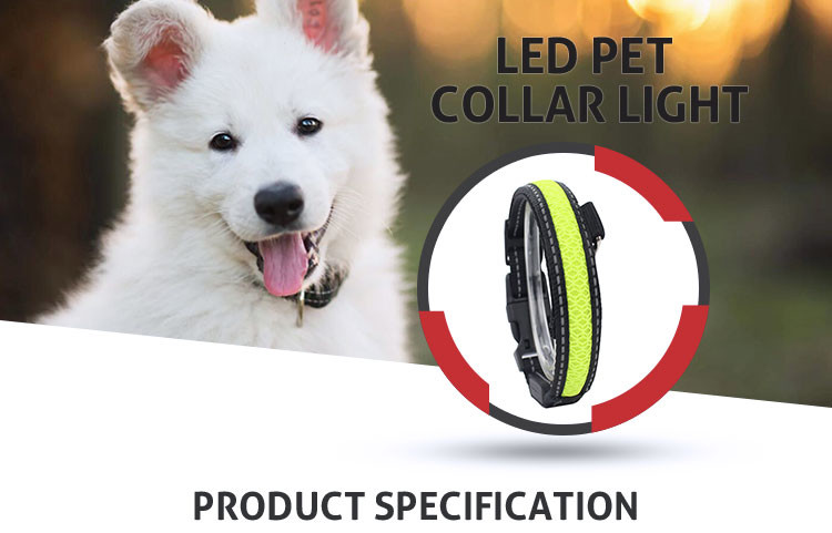 Pet Nylon Luminous Fluorescent LED Dog Collar Leashed in Dark Size S / M / L