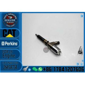 Common Rail Injector 306-9380 Fuel Injector Assembly 320-0680 2645A747 2645A734