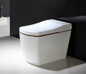 China 110V / 220V Electric Smart Toilet Smart Bidet Toilet Automatic Deodorization intelligent toilet factory