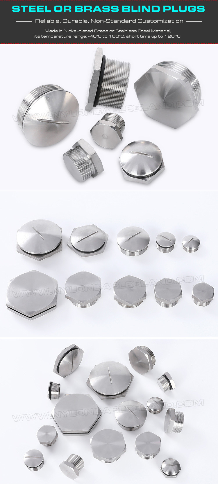 304, 316 Stainless Steel (Brass) Round or Hexagonal Blind Plugs Blanking Plugs with PG7~PG48 & M12~M110 threads