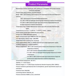 UBW500Y High Precision Temperature Transmitter For Industrial Applications