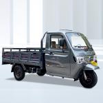 300cc Gaoline Tricycle in Gray Closed Cab Three Wheel Motorized Van For Cargo