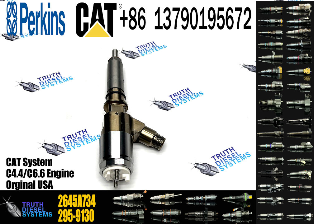 Fuel Injector Nozzle 2645A749 2645A747 10R-7671 10R-7672 2645A718 10R-7673 10R-7676 2645A734