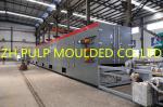 Disposable Molding Egg Box Forming Machine 100KW Eco Friendly Plates Use
