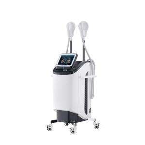 China 27.12MHz Ce Body Slimming Machine Weight Loss Ems Muscle Stimulator Machine factory