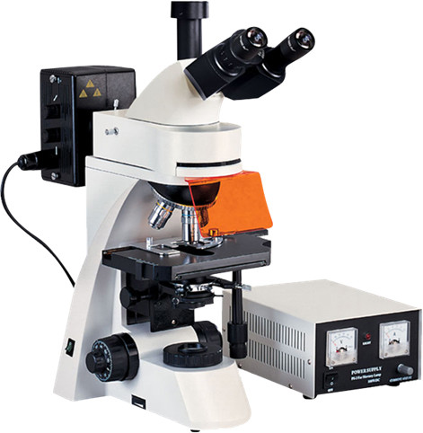 Trinocular Epi Fluorescence Microscope 1600X WF10X 22mm Phase Contrast