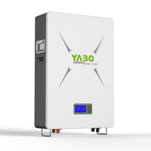 China 10kwh 51.2v 200ah Lifepo4 Lithium Battery Solar Energy Storage System Deep Cycle Diy factory