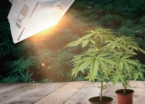China High Pressure Sodium HID Grow Lights A350 , DE Grow Light For Large Scale Greenhouse factory
