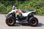 49cc Youth Racing ATV Utility Vehicles Single-Cylinder Air Cooled