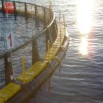 Black 60m Fish Farming Cage , Floating Net Cage Non Toxic Circular Shape