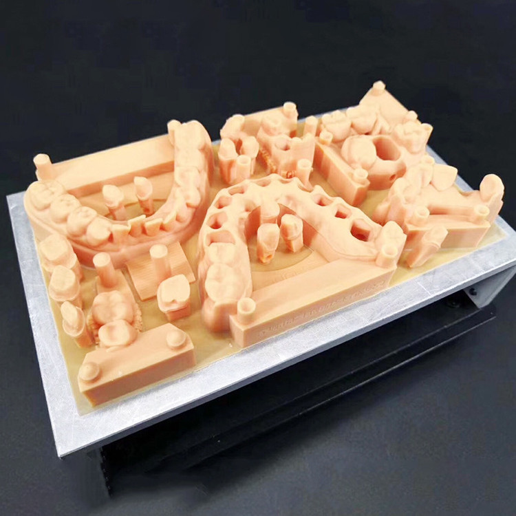 China Dental Resin Vacuum Casting PP Material 3D Printing | Professional SLS Printing Service factory