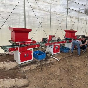 200 Tray Per Hour Black Tray Cabbage Seeding Planting Machines Automatic for