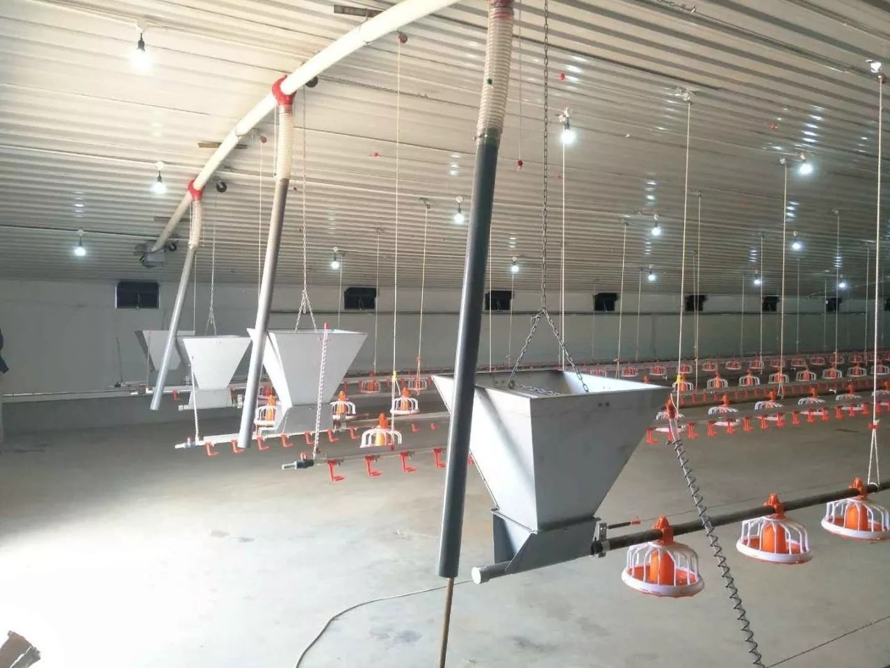 China Chicken Farm Chain Automatic Pan Feeding System 1 Phase factory