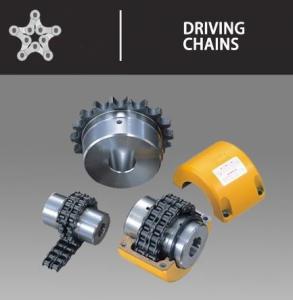 China UCER Transmission Drive Chain Duplex Roller Chain 4012 4014 4016 factory