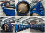 BS EN10092-2 DI ductile iron cf8m ss316 chinese factory wholesaler butterfly