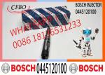 fuel injector diesel engine car excavator 0445120100 0445120219 0445120275