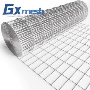 China Welded Mesh Ultra Fine Stainless Steel Bird Cages Wire Mesh Low Cost factory