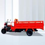 200CC Cargo Tricycle Motorcycle with Motorized Driving Type and Curb Weight of