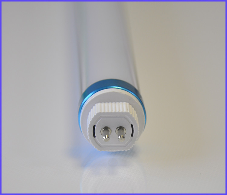 LED Light Source 160lm T5 T6 LED Tube Light With Blue Color Rings G5 Base