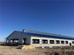 Prefabricated Q235B Steel Structure Cattle Farm Galvanized