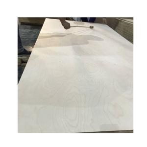 China Furniture Grade Russian 3mm 30mm Birch Faced Plywood factory