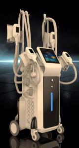 China Hot selling professional 4 handles cryolipolysis machine for sale / cryolipolysis shaping machine factory