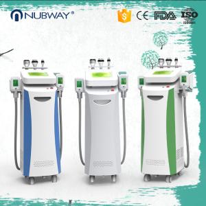 China Professional cryolipolysis fat freezing weight loss machine cryolipolysis slimming machine factory