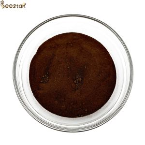 High Purity Natural Extract Propolis Powder 70% Bee Propolis Powder in Bulk