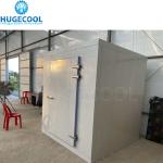 220V/380V/440V Walk-in Freezer Cold Storage Room For Meat And Fruit In