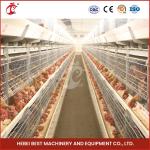 Hot Galvanized Broiler Transport Cage Silver Color Durable Reliable Mia