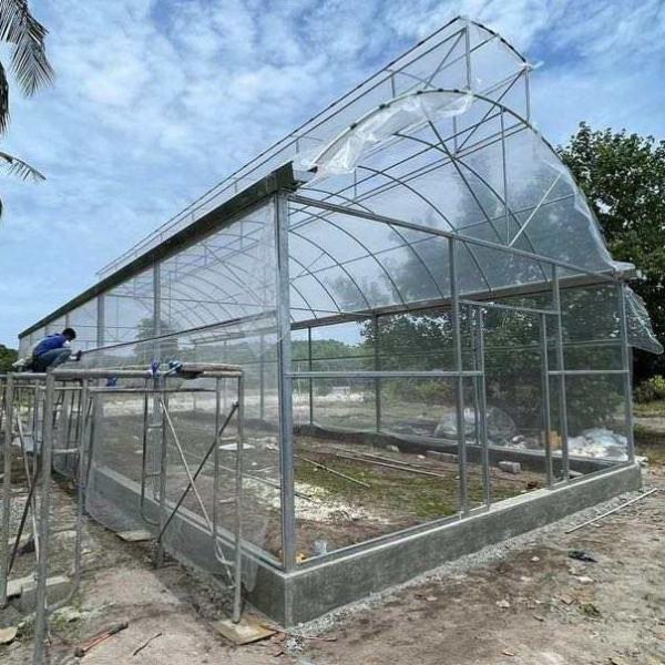 Metal Frame Covered Outdoor 6x15m Agricultural Commercial Green House Umbrella