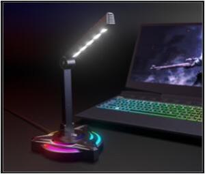 China USB Desktop Meeting Full Karaoke Esports Microphone 2 Table Lamp Adjustment factory