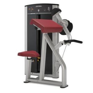 China Commercial Workout Equipment Strength Training Bicep Curl Pin Loaded Biceps Machine factory