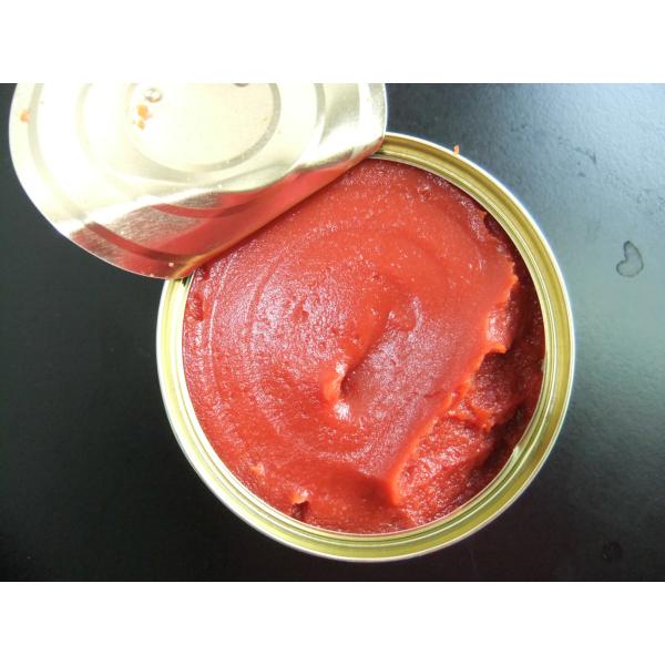 China Steamed Processing Canned Tomato Paste Fruit Addtives for Processing factory