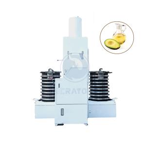 China 6YY-250D-DS 75kg/h avocado oil extraction machine factory