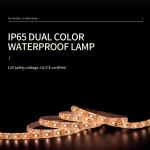 6W Smd 2835 Led Strip 12v 24v Low Voltage Lamp