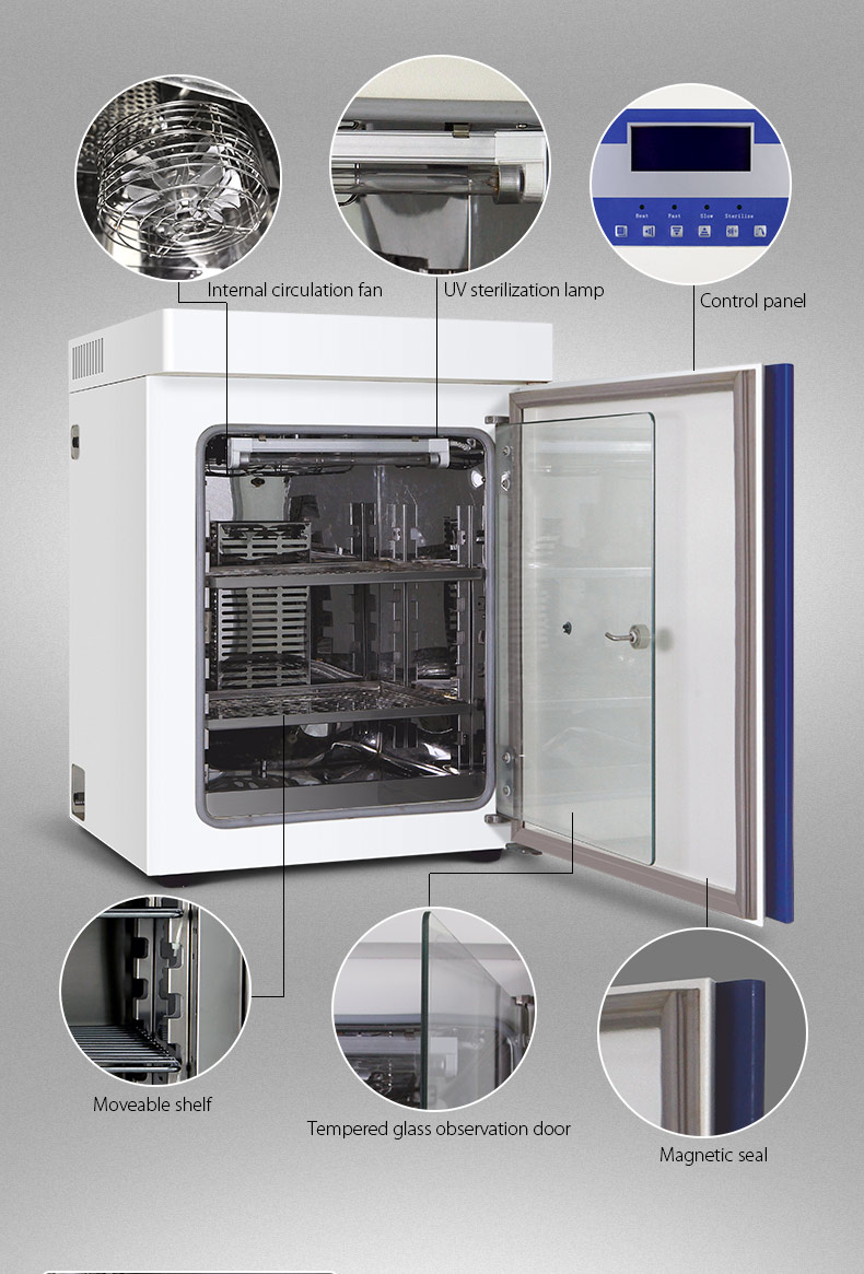 Tissue Culture CO2 Incubator 110V 220V Carbon Dioxide Incubator CE For Medical Lab