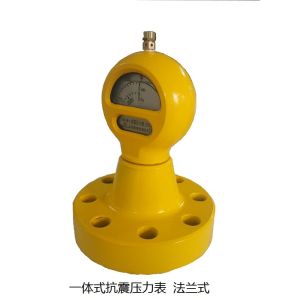Drilling Instruments， Mud Pump Pressure Gauges， Pump Stroke Counter Rate Meter，