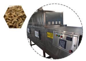 China Professional Insect Microwave Drying Machine factory