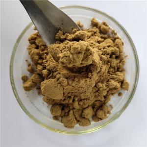 China Immune Anti-Fatigue Roughhaired Holly Root Extract factory