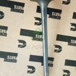 Cummins Diesel Engine Parts Valve Intake And Exhaust Set 3901117(4995554)