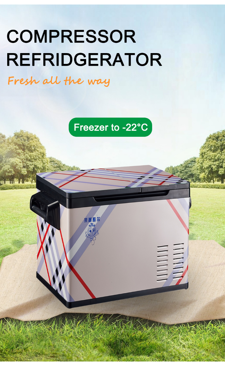 Car Freezer Fridge Portable Lp-55GB Beauty Car Mini Cool Fridge with R134a Refrigerant