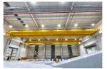 Large Capacity Double Girder 10 Ton Overhead Crane Logistics Turnover DG EOT