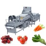 10.75kw 300kg/h Vegetables Washing Drying Machine