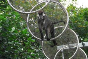 China Stainless Steel Wire Rope Mesh for monkey factory