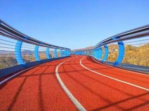 China Exercise Jogging Track Overpass EPDM Anti Slip Elastic Rubber Flooring factory