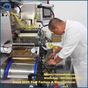13kw Automatic Softgel Encapsulation Machine with 12 Plungers
